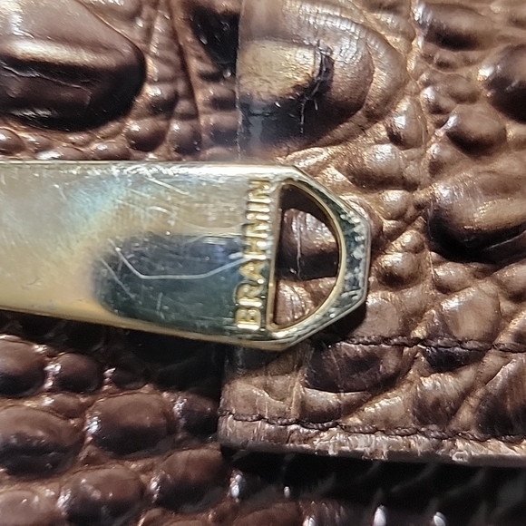 BRAHMIN - Picture 6 of 16